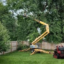 Best Hazardous Tree Removal  in Pennington, NJ