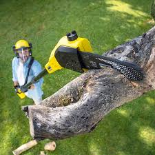 Best Lawn Maintenance Plans  in Pennington, NJ